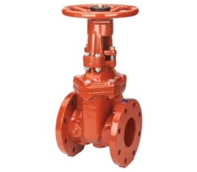 F-607-RW Series 3 in. Flanged x Flanged Ductile Iron