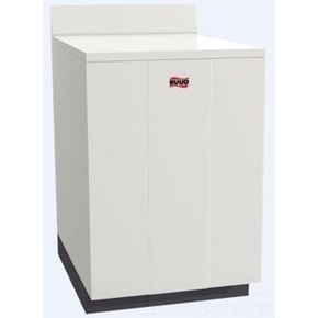 ruud 40 gallon water heater price